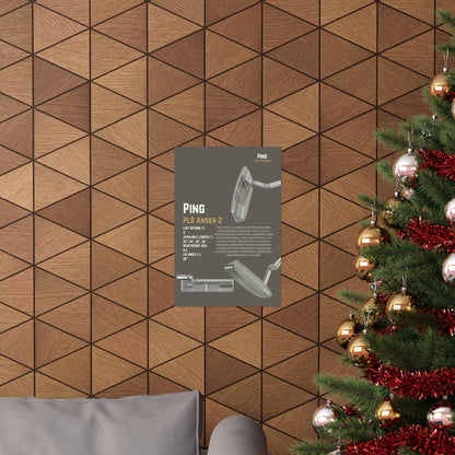 Ping PLD Anser 2 - Poster